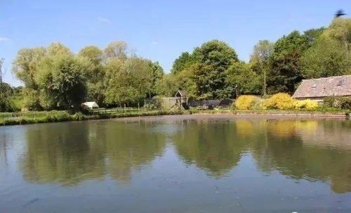 英格兰的乡村明珠 拜伯里小镇的诗意与远方